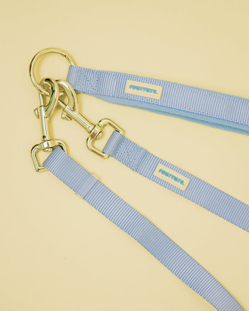 Hands Free Leash Set with Belt