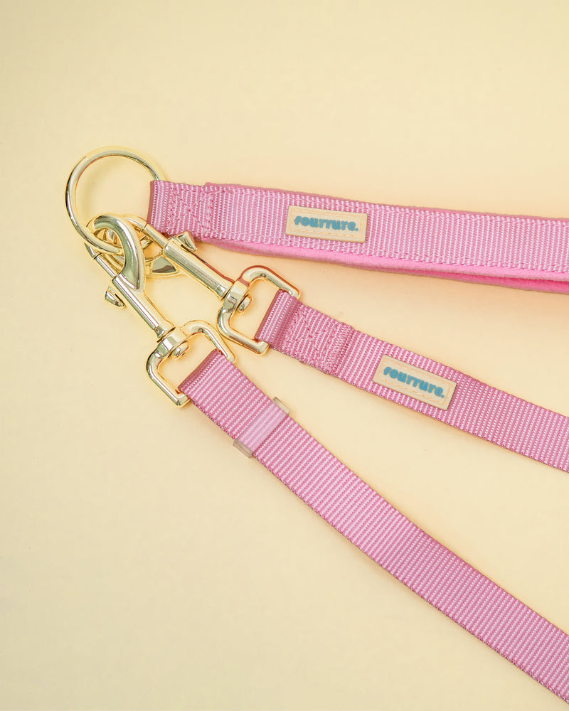 Hands Free Leash Set with Belt