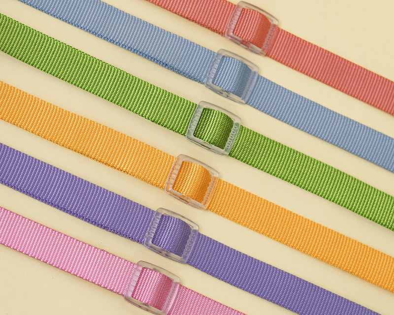 Hands Free Leash Set with Belt