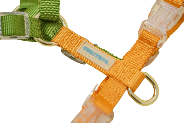 Fourrure Green Yellow Harness For Pets