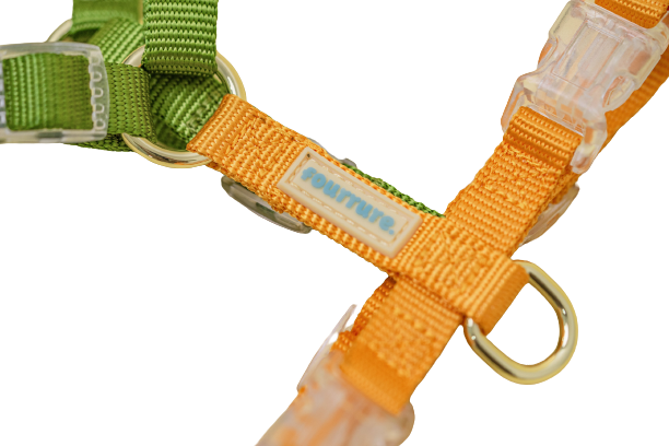 Fourrure Green Yellow Harness For Pets