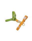 Fourrure Green Yellow Harness For Pets