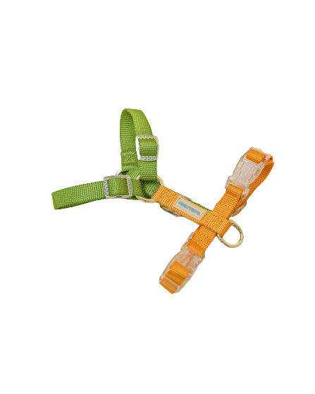Fourrure Green Yellow Harness For Pets