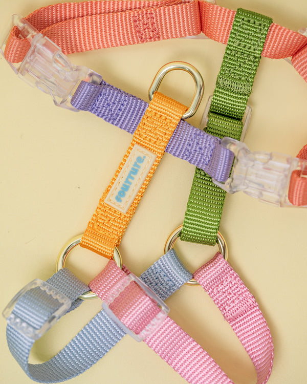 Fourrure Dream Harness For Pets