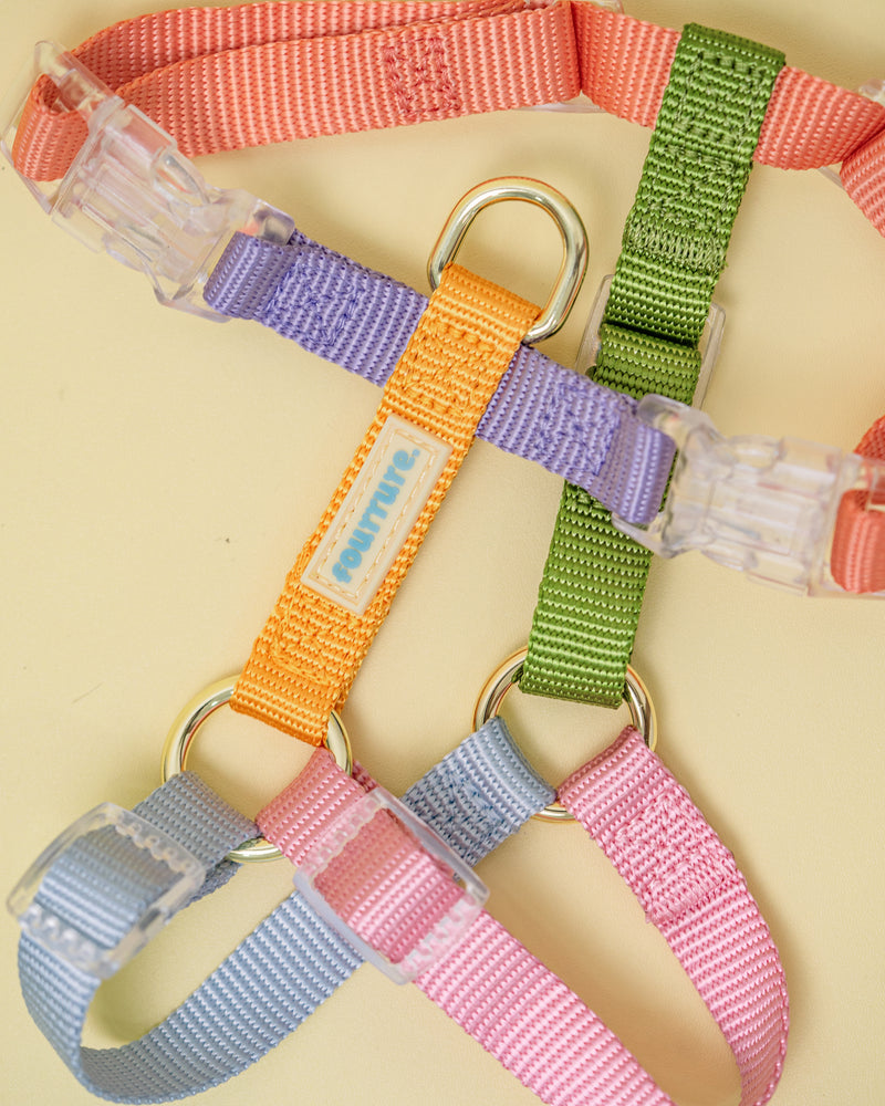 Fourrure Dream Harness For Pets