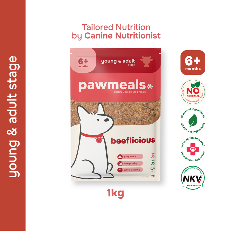 Beeflicious Cooked Dog Food