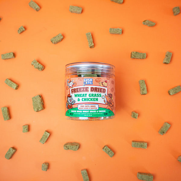 Freeze Dried Treats Wheat Grass & Chicken for Cat, Dog, Sugar Glider & Hamster
