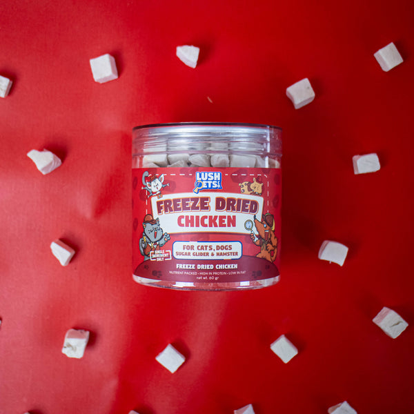 Freeze Dried Treats Chicken for Cat, Dog, Sugar Glider & Hamster