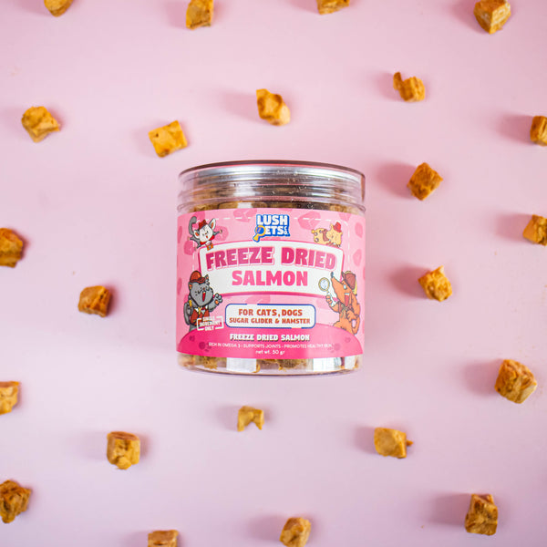 Freeze Dried Treats Salmon for Cat, Dog, Sugar Glider & Hamster - 50gr