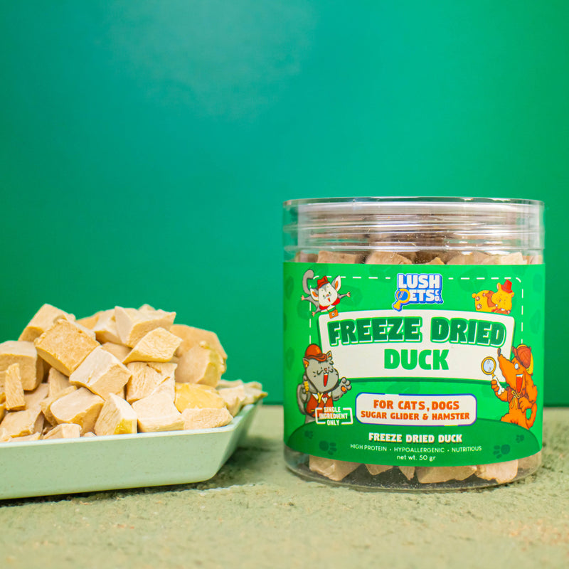 Freeze Dried Treats Duck for Cat, Dog, Sugar Glider & Hamster
