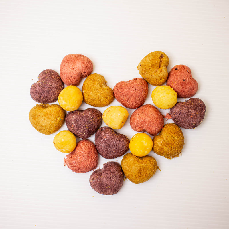 Freeze Dried Treats Pitaya & Chicken for Cat, Dog, Sugar Glider & Hamster