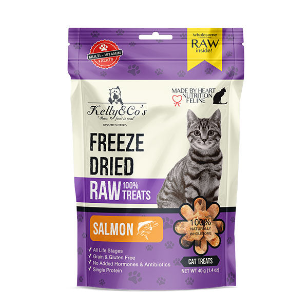 Freeze Dried Norwegian Salmon Cat Treat