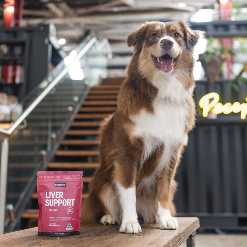 Liver Support With Milk Thistle For Dogs