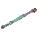 V1 Basic Collar - Mint Lavender