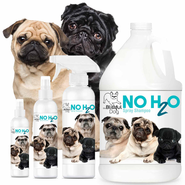 No H2O Dog and Cat Spray Shampoo