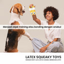 Bear  Latex Skueaky Pet Toys