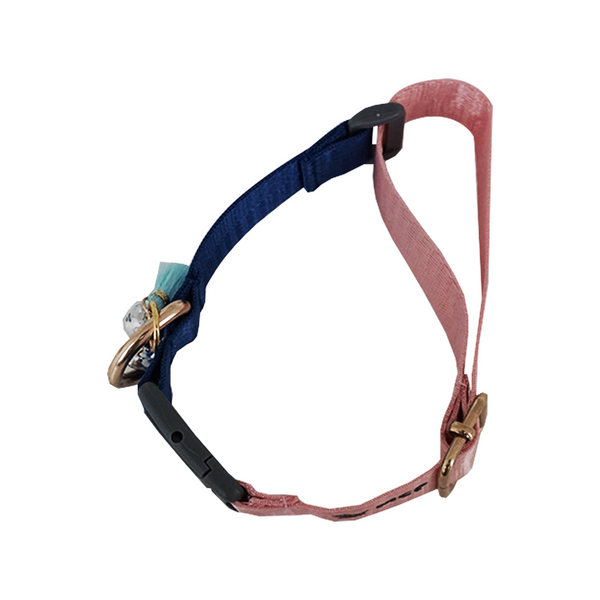 V1 Basic Pet Collar - Salmon Azure