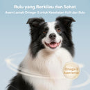 Chicken Formula Staple Dog Food - 50gr