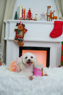 Strawberry Pork Jerky Dog Treats