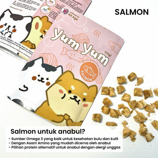 Salmon Freeze Dried Raw Goods Treats For Dog and Cats