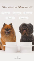 Hi Bowl Elevated Ceramic Pet Bowl