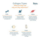 Collagen Plus For Dogs And Cats