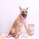 Nice Nibbles (Cod Sushi Roll) Dog Treats