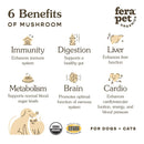 Mushroom Immune Support For Dogs And Cats