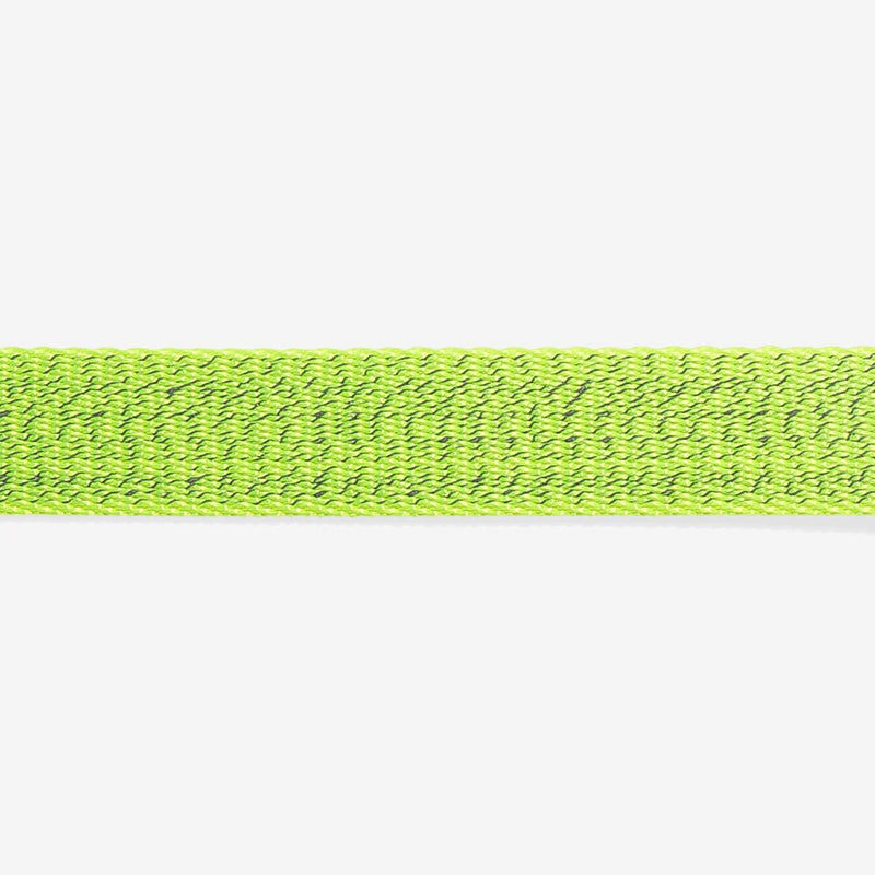 Nox Lumen Dog Collar