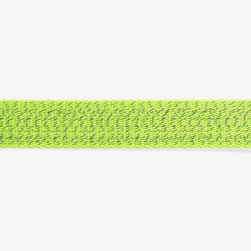 Nox Lumen Cat Collar