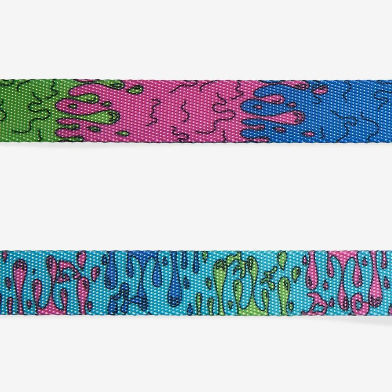 Melted Regular Dog Leash