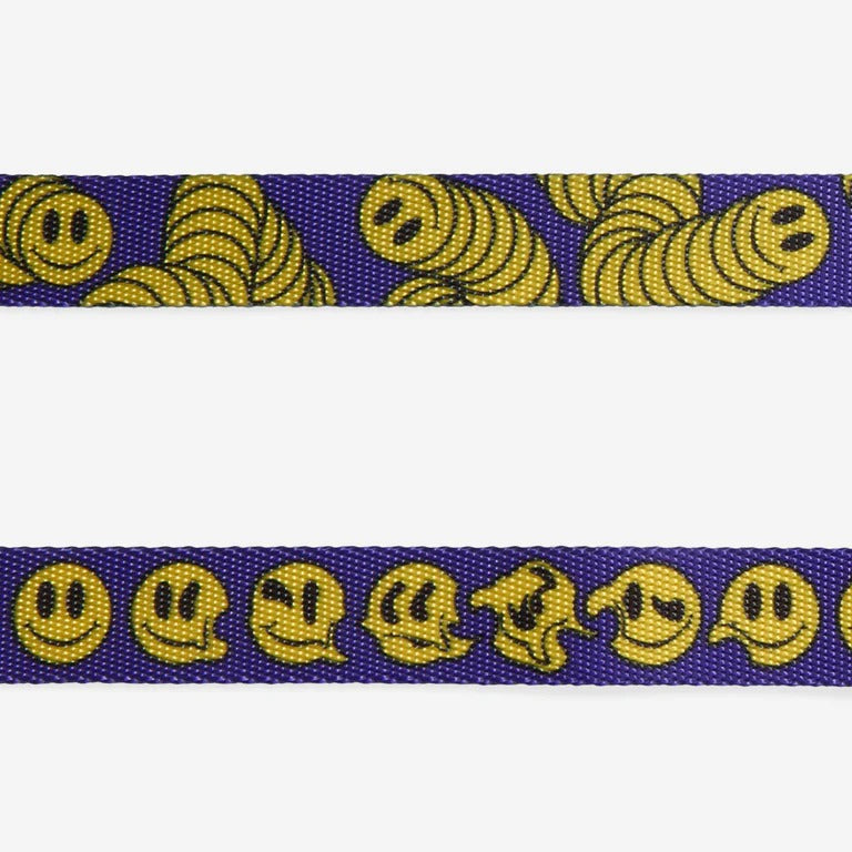 Zmiley Dog Leash