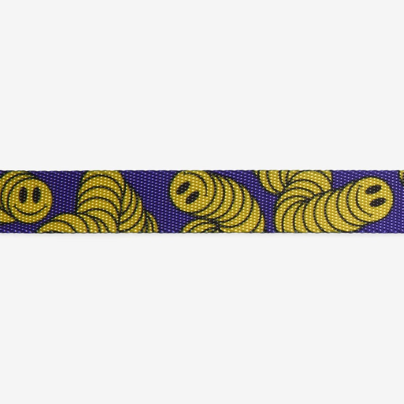 Zmiley Dog Leash