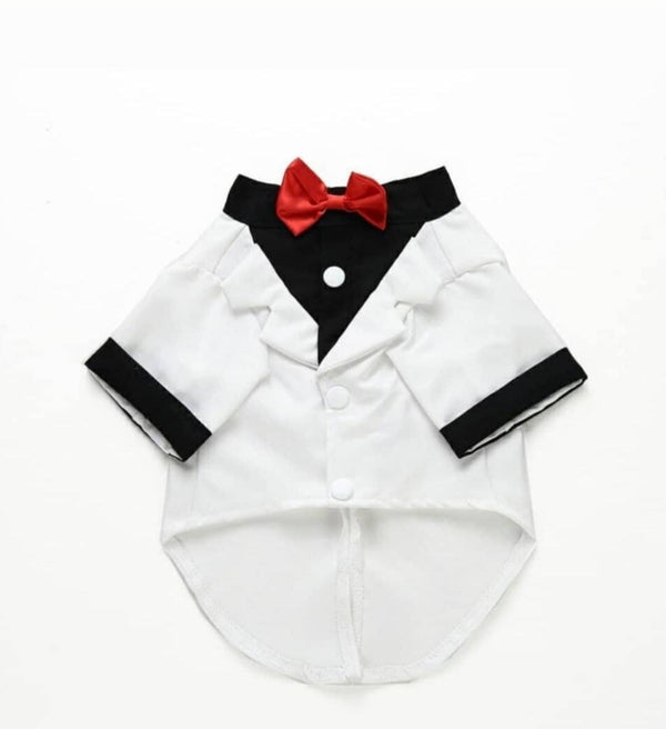 White Tuxedo For Pets