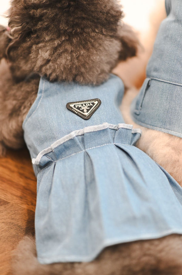 Pawda Denim Dress