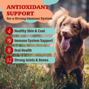 Antioxidant Berry Granules for Dogs