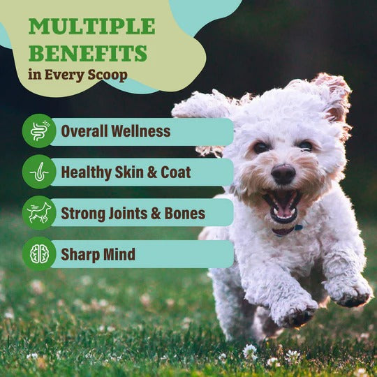 Super Greens Granules for Dogs