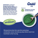 Indoor Jelly Plus Natural Adult Cat Food -70gr