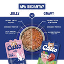 Indoor Jelly Plus Natural Adult Cat Food -70gr