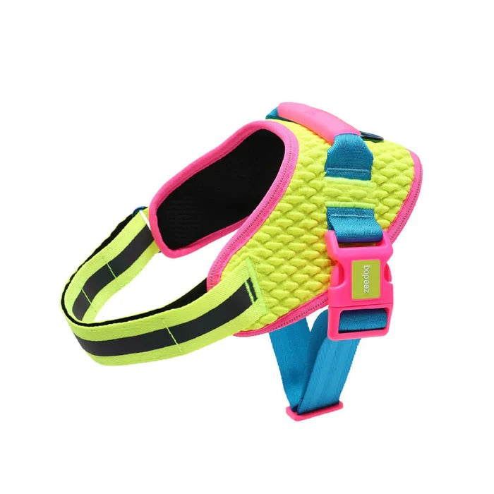 CMYK Fly Harness