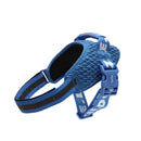 Slam Dunk Fly Harness