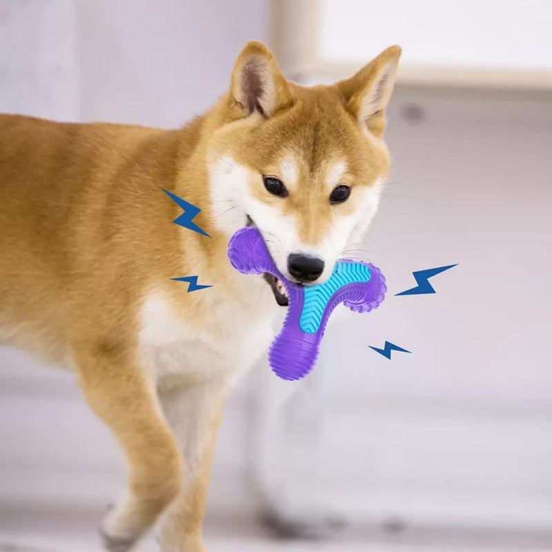 Multi Sound Bone Purple Blue Squeaker Dog Toys