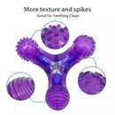 Multi Sound Bone Purple Blue Squeaker Dog Toys