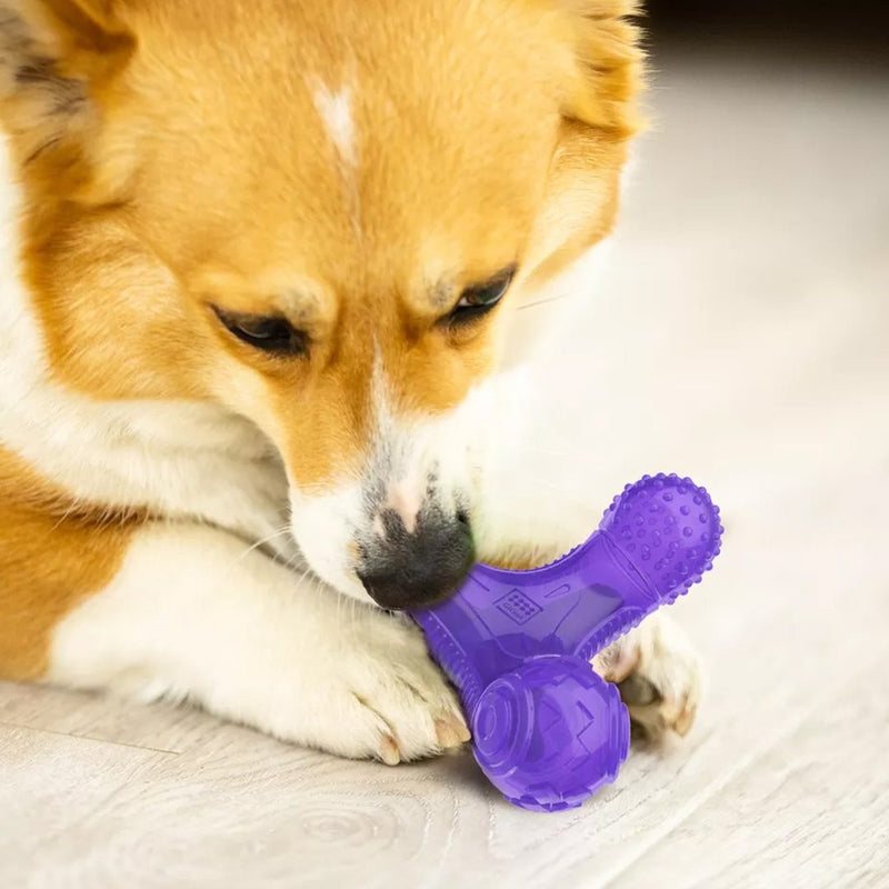 Multi Sound Bone Purple Blue Squeaker Dog Toys