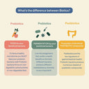 Postbiotics Plus Vet Formulated Powder For Dog & Cat - 60gr