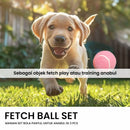 Fecth Ball Set Pet Toy - 3 Pcs