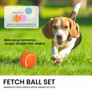 Fecth Ball Set Pet Toy - 3 Pcs