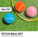 Fecth Ball Set Pet Toy - 3 Pcs