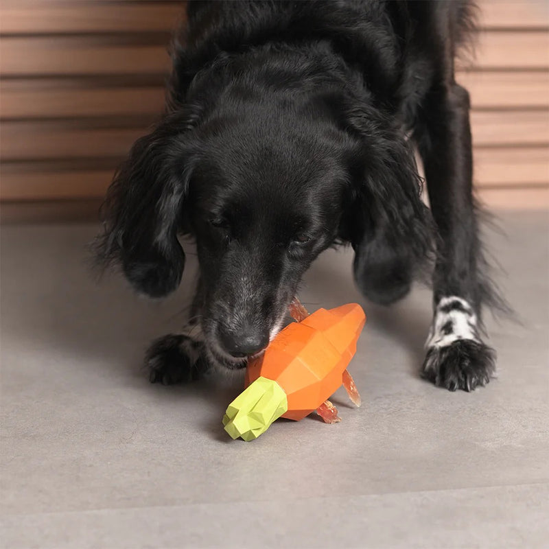 Super Veggiez Carrots For Stick Treats