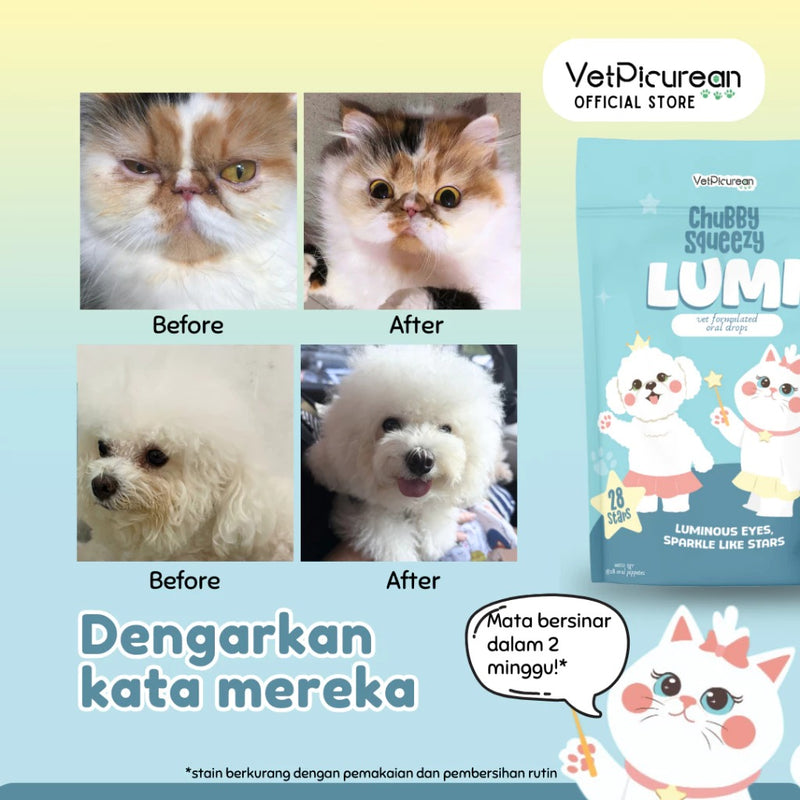 Chubby Squeezy Lumi For Eyes